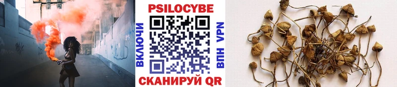 Галлюциногенные грибы ЛСД  Купить закладки  Инсар 